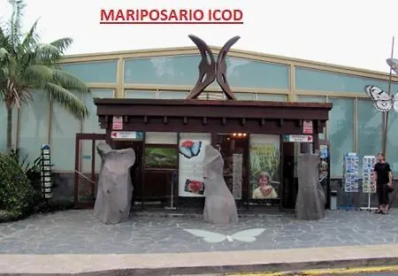 Vistas De Icod * إيكود ذي لوس فينوس