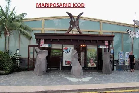 Vistas De Icod * איקוד דה לוס וינוס