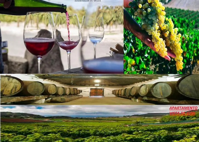 Vistas De Icod 公寓 *