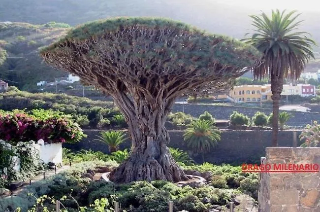 Vistas De Icod Apartmán Icod De Los Vinos